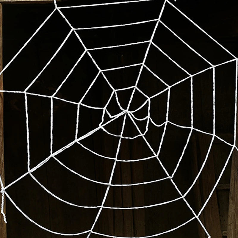 Black Scary Giant Spider Web-8