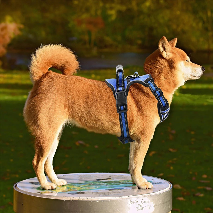 Dog Harness Vest with Handle 4