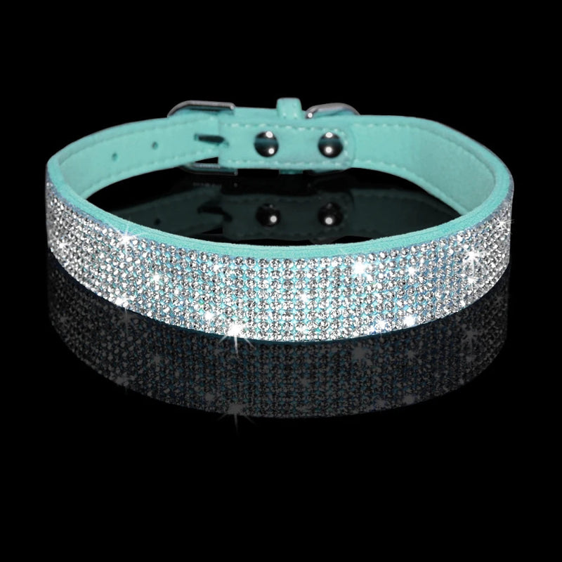 Turquoise dog collar with rhinestone embellishments on a black background