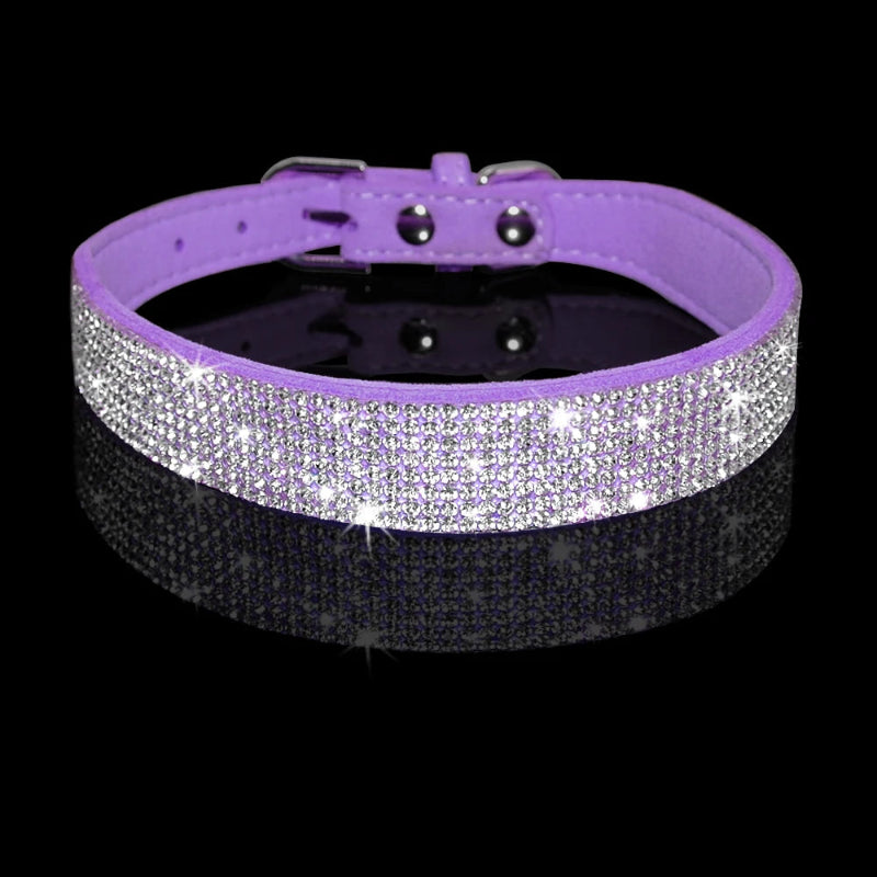 Purple dog collar with rhinestones on a black background