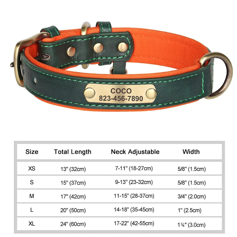 Green and orange leather dog collar with a nameplate and size chart on a white background