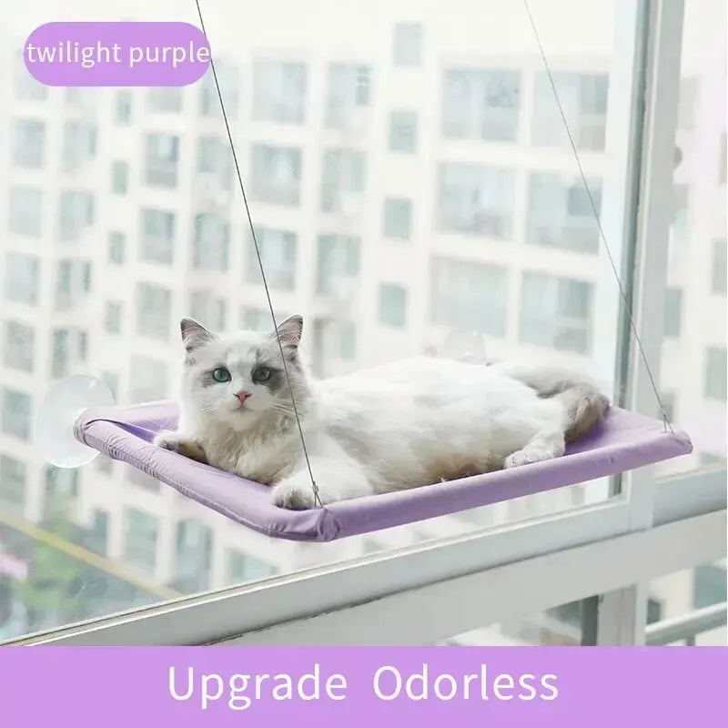Cat Sunny Window Seat - purple