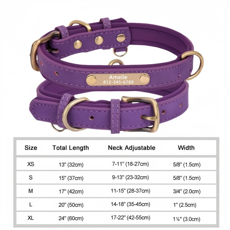 Purple dog collar with gold hardware and a nameplate on a white background, accompanied by a size chart.