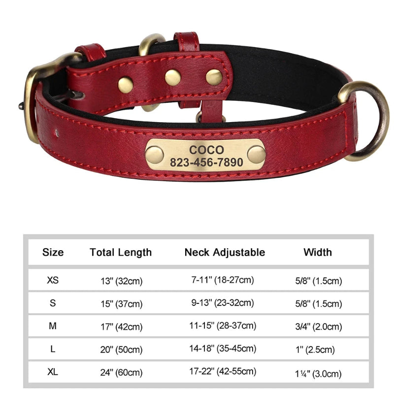 Red leather dog collar with brass buckle and engraved nameplate on a white background, accompanied by size chart.