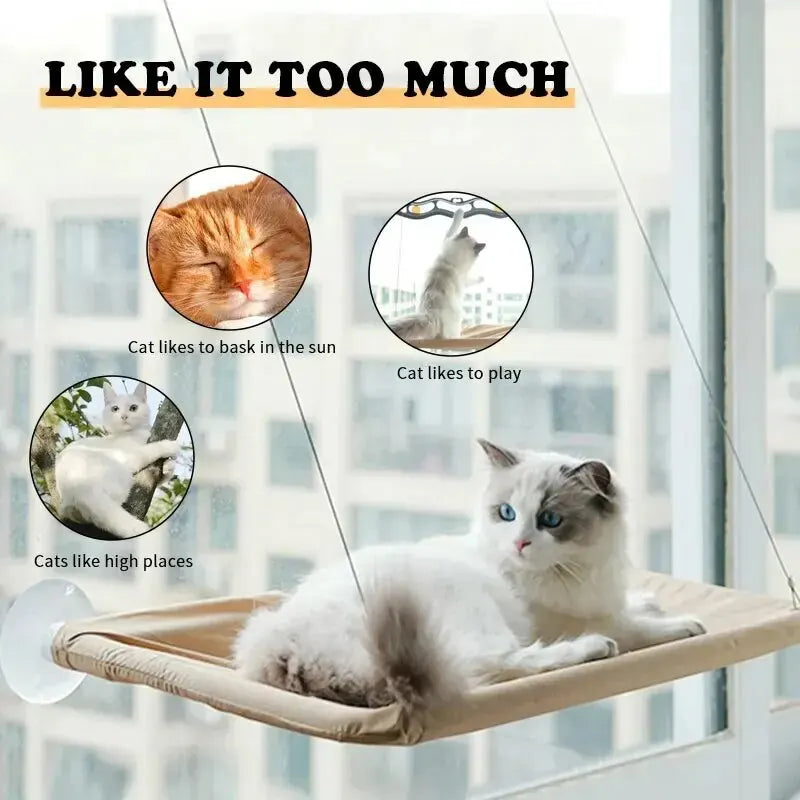 Cat Sunny Window Seat - for cats