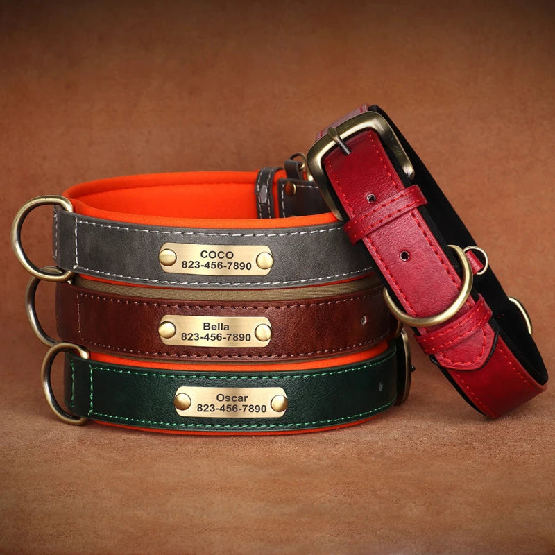 Three leather dog collars with engraved names and phone numbers on a brown background.