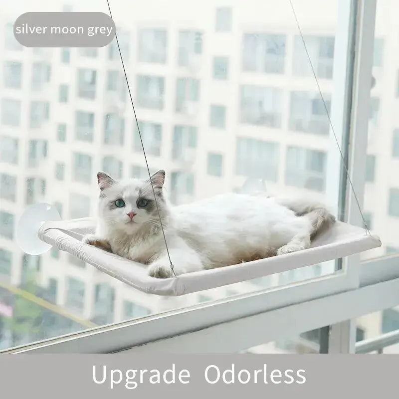 Cat Sunny Window Seat - white