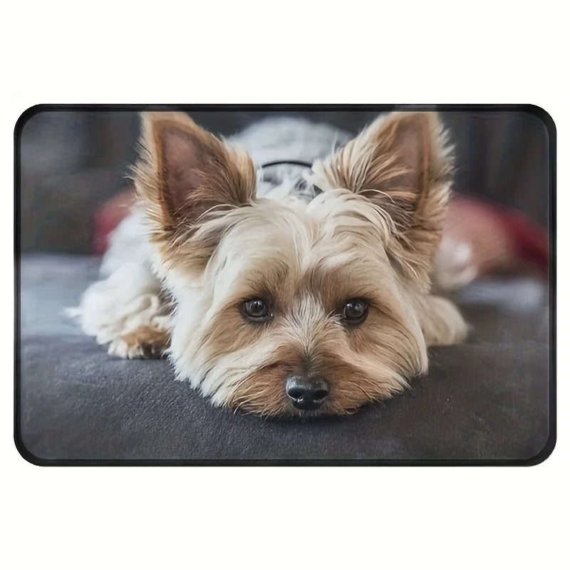 Dog lying on a mat with a blurred background