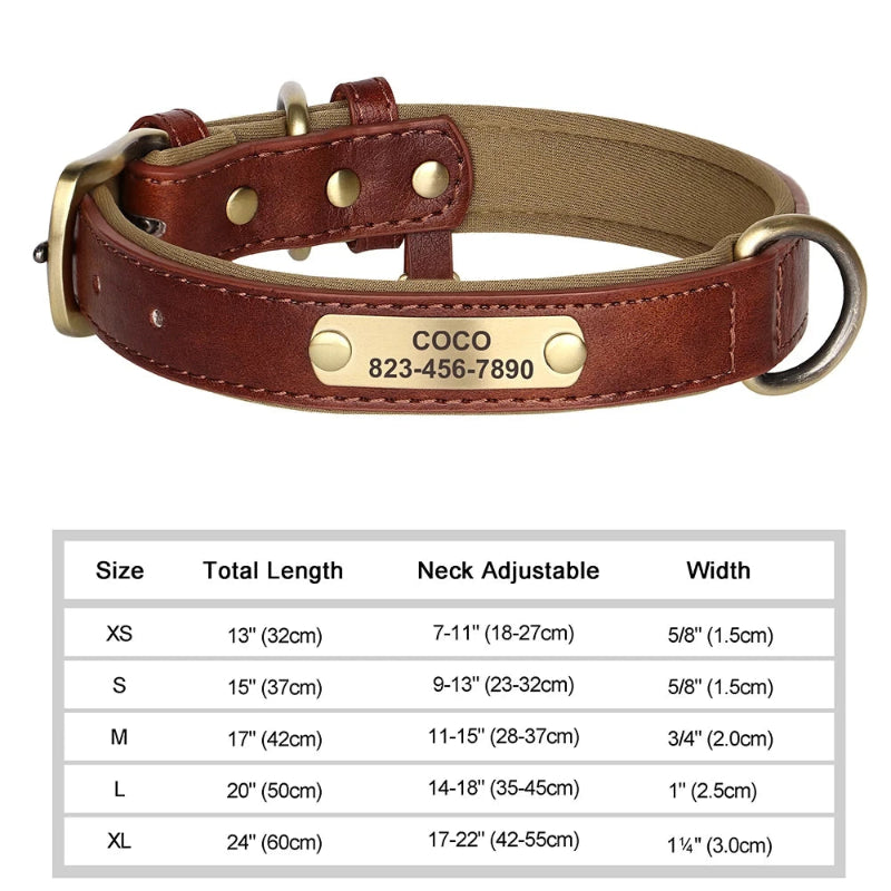 Brown leather dog collar with gold nameplate and size chart on a white background