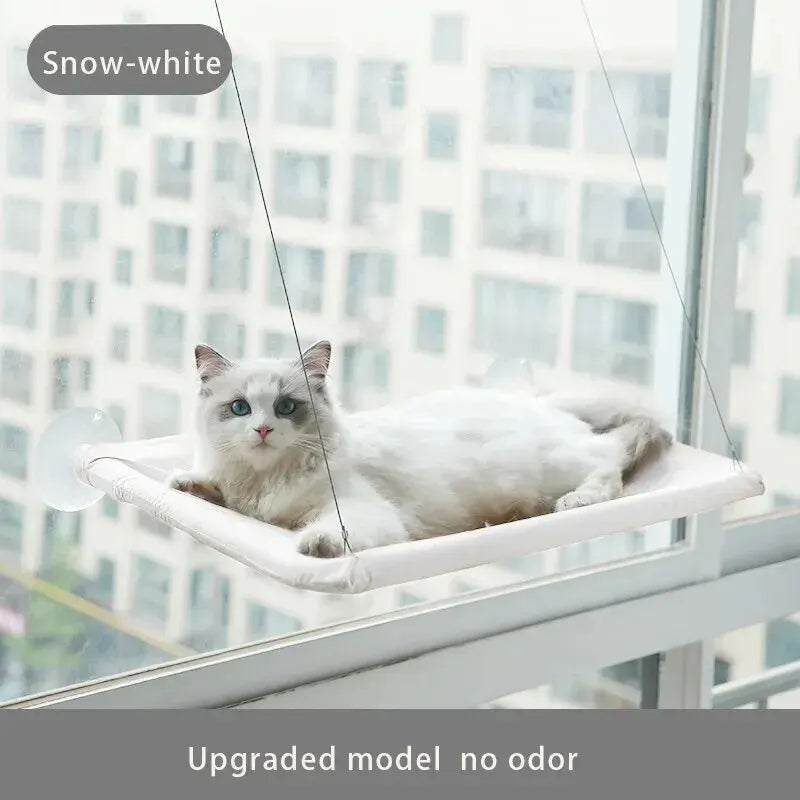 Cat Sunny Window Seat - no odor