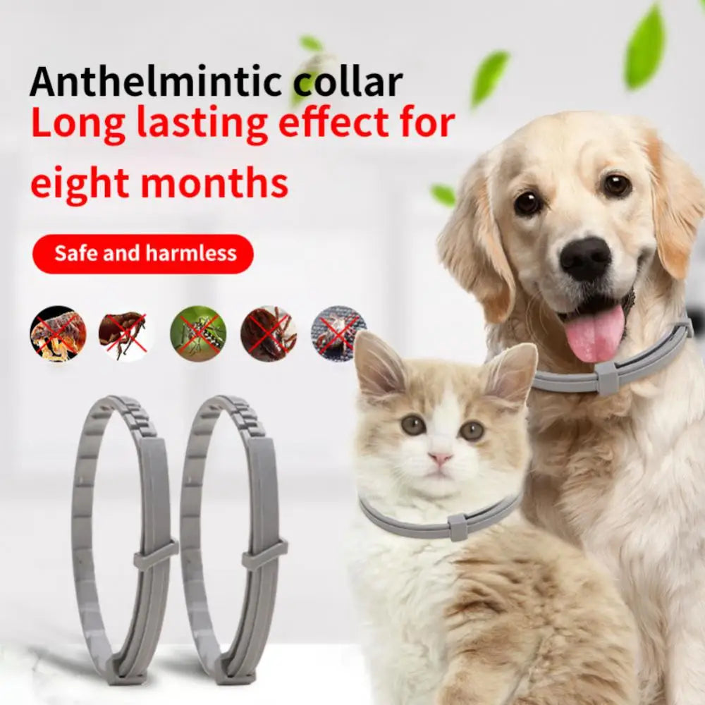 Dogs and Cats Anti Flea And Ticks Collar 8Month Protection Retractable For Puppies Cats and Large Dogs Accessories