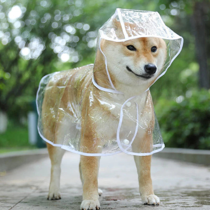 Small dog wearing a transparent waterproof PVC raincoat with hood -01