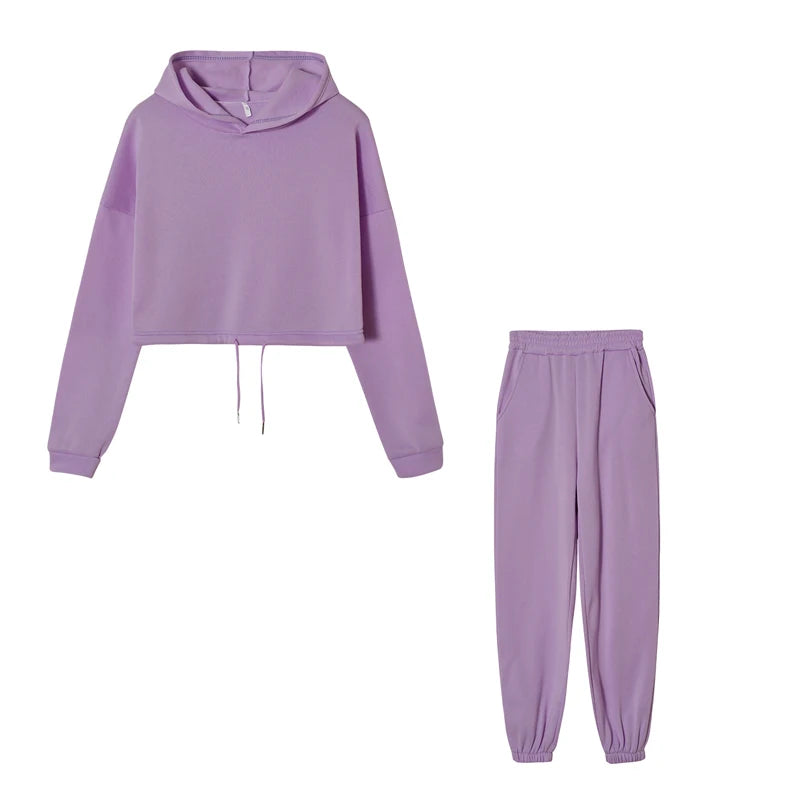 Women’s fashion two-piece sportswear set with long sleeves and high-waist casual pants in neutral tones purple