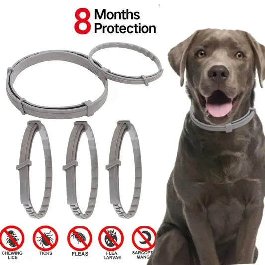 Dogs and Cats Anti Flea And Ticks Collar 8Month Protection Retractable For Puppies Cats and  Large Dogs Accessories