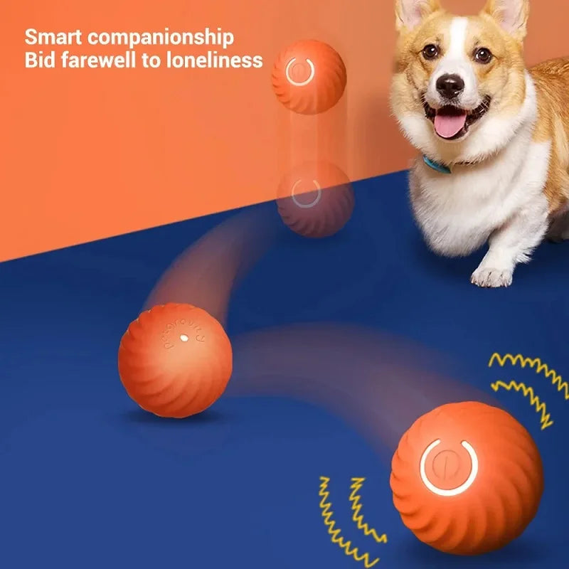 USB rechargeable smart dog toy ball that bounces, rolls, and entertains puppies active ball