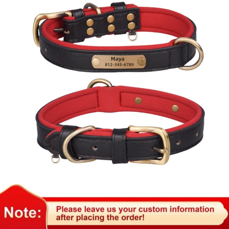 Two dog collars with nameplate on a white background