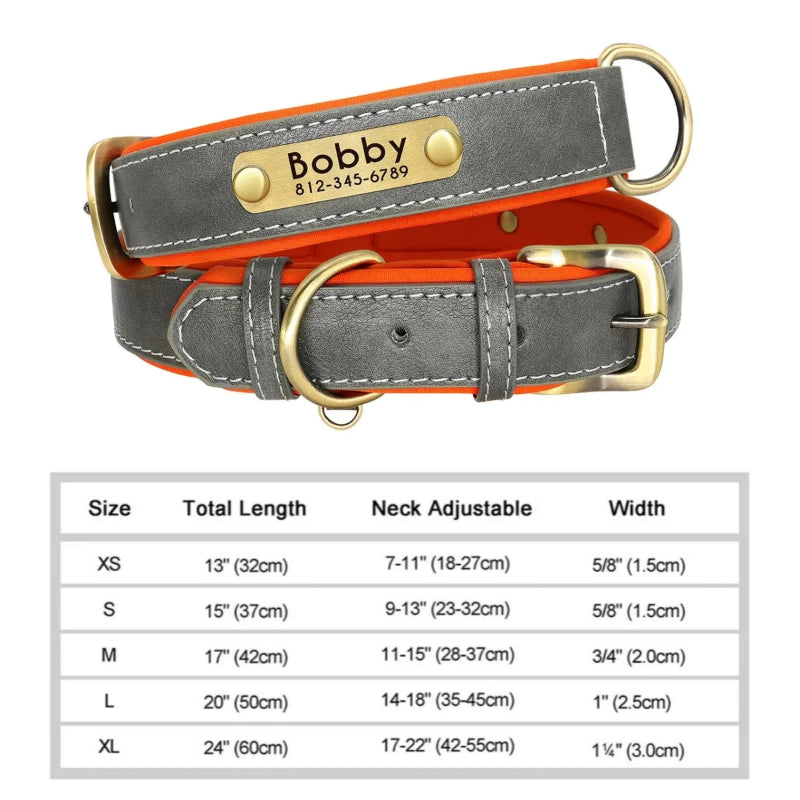 Gray dog collar with orange interior and gold hardware, featuring a nameplate and size chart on a white background.