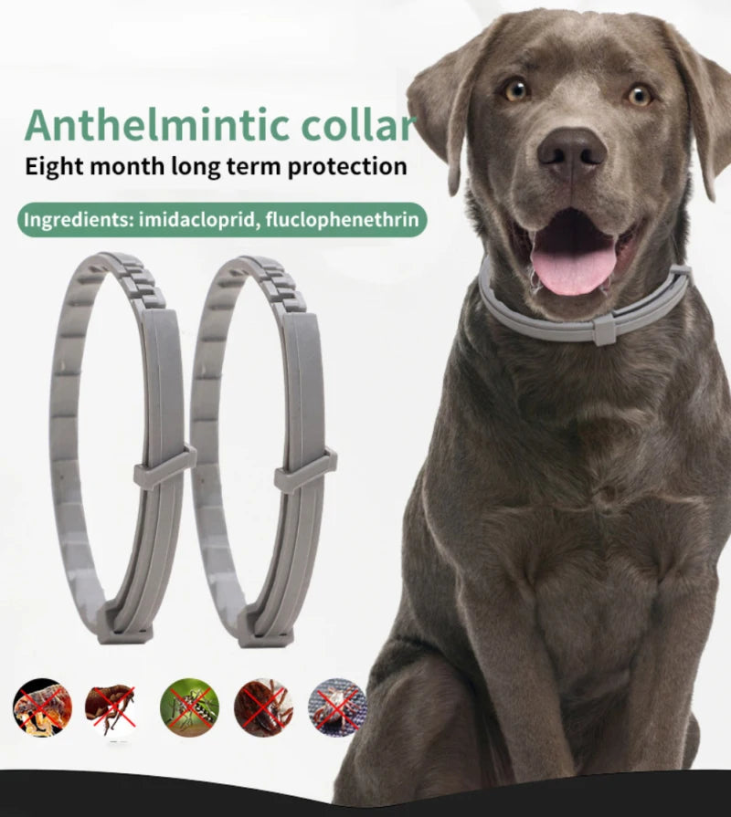 Dogs and Cats Anti Flea And Ticks Collar 8Month Protection Retractable For Puppies Cats and Large Dogs Accessories