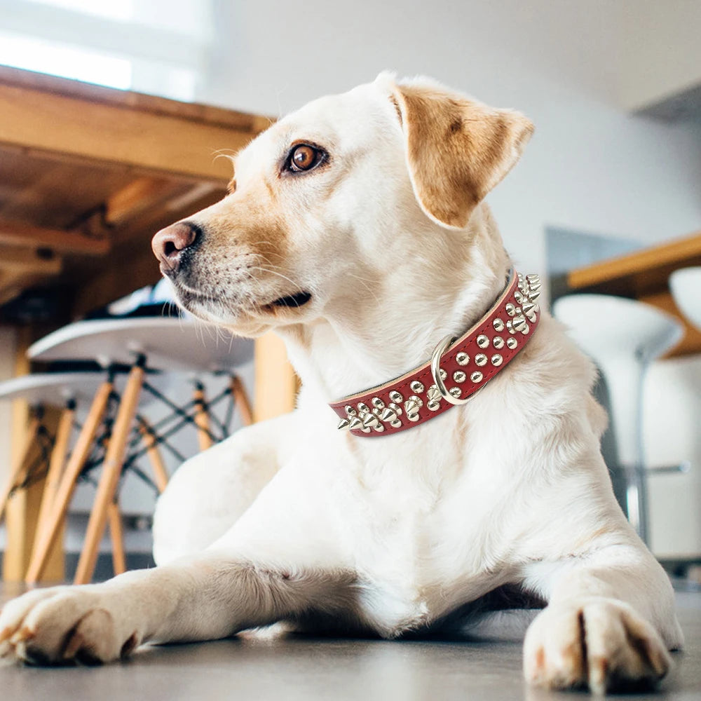 Spiked Studded Leather Dog Collar - 6