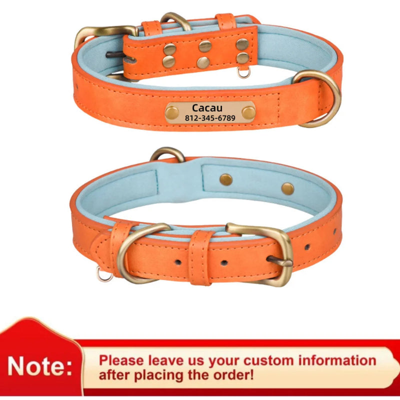 Two orange dog collars with engraved names on a white background