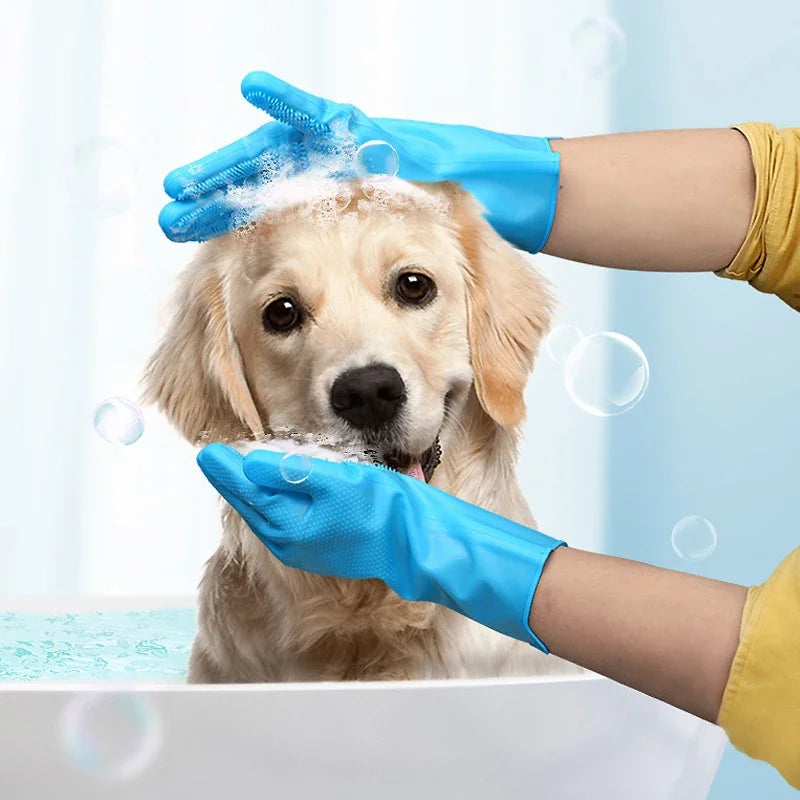 Person washing a dog with soapy hands wearing blue gloves against a light blue background
