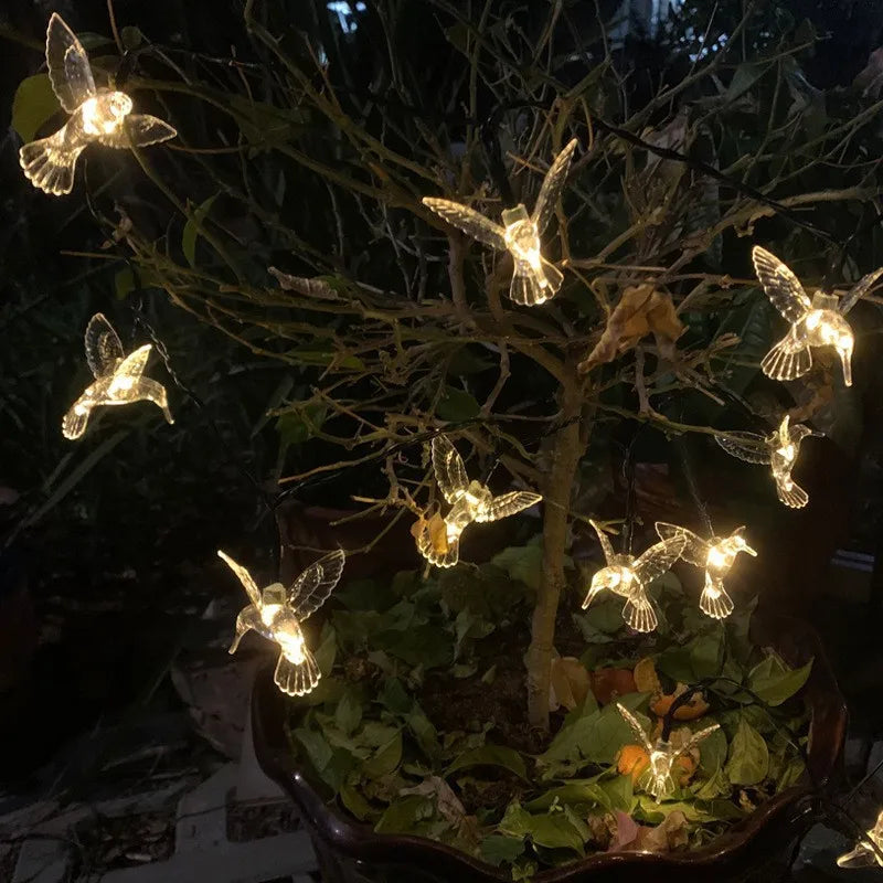 Solar Hummingbird String Lights Outdoor 5