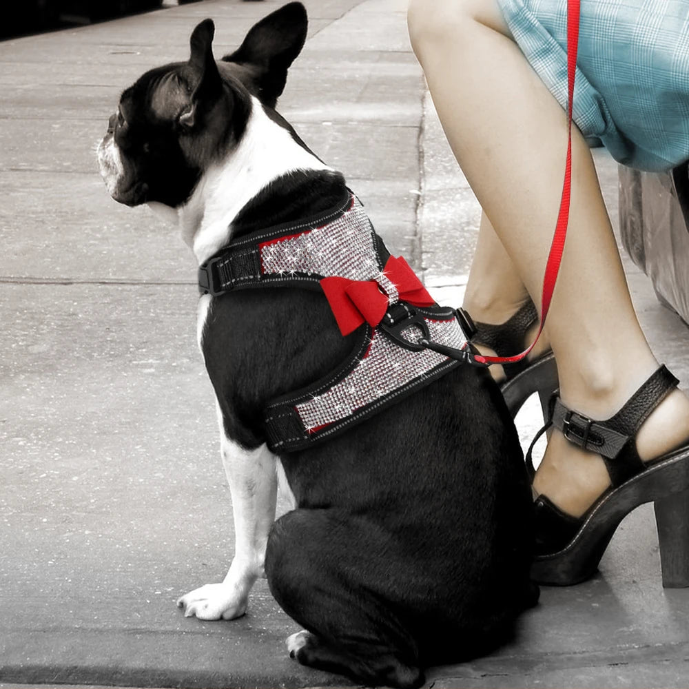 Reflective Dog Harness Rhinestone plus Nylon