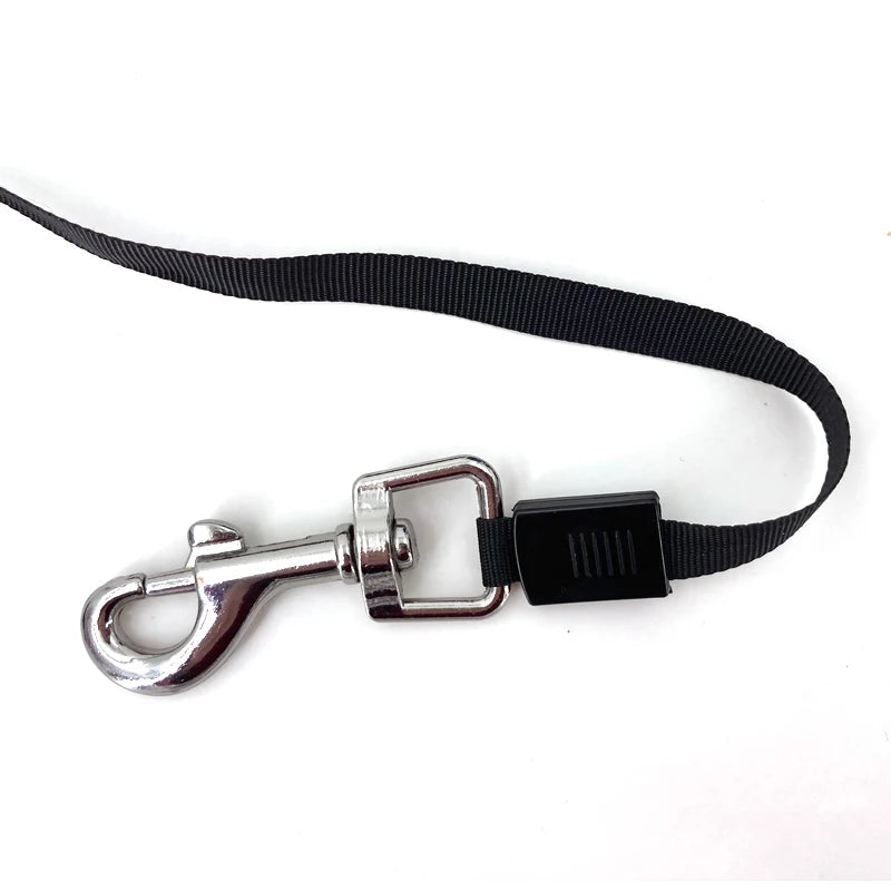Retractable Flexible Leash for Dog or Cat - 06