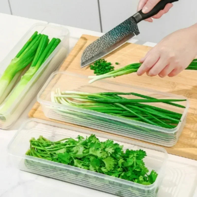 Rectangular refrigerator fresh-keeping box with lid for scallions, coriander, vegetables, sealed cold storage kitchen organizer 4