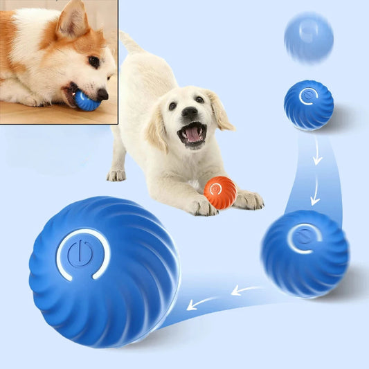 USB rechargeable smart dog toy ball that bounces, rolls, and entertains puppies