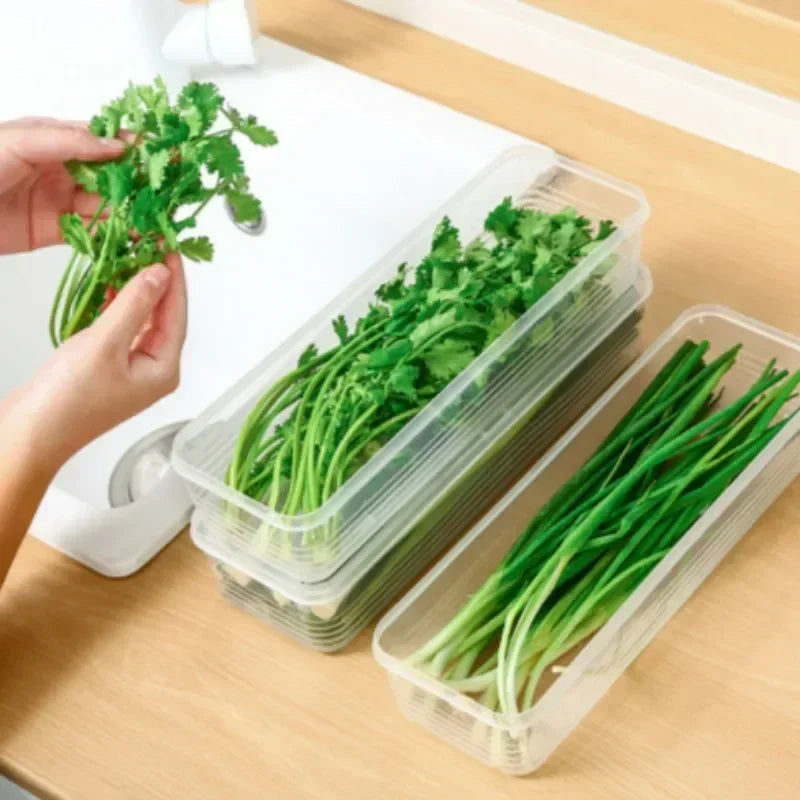 Rectangular refrigerator fresh-keeping box with lid for scallions, coriander, vegetables, sealed cold storage kitchen organizer 5