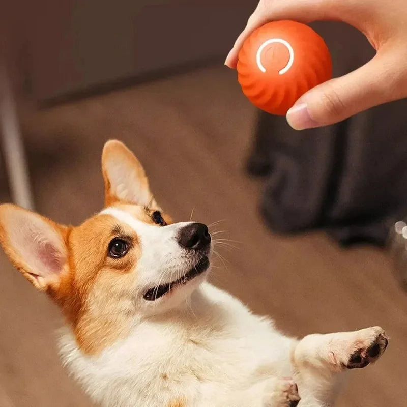 USB rechargeable smart dog toy ball that bounces, rolls, and entertains puppies red ball