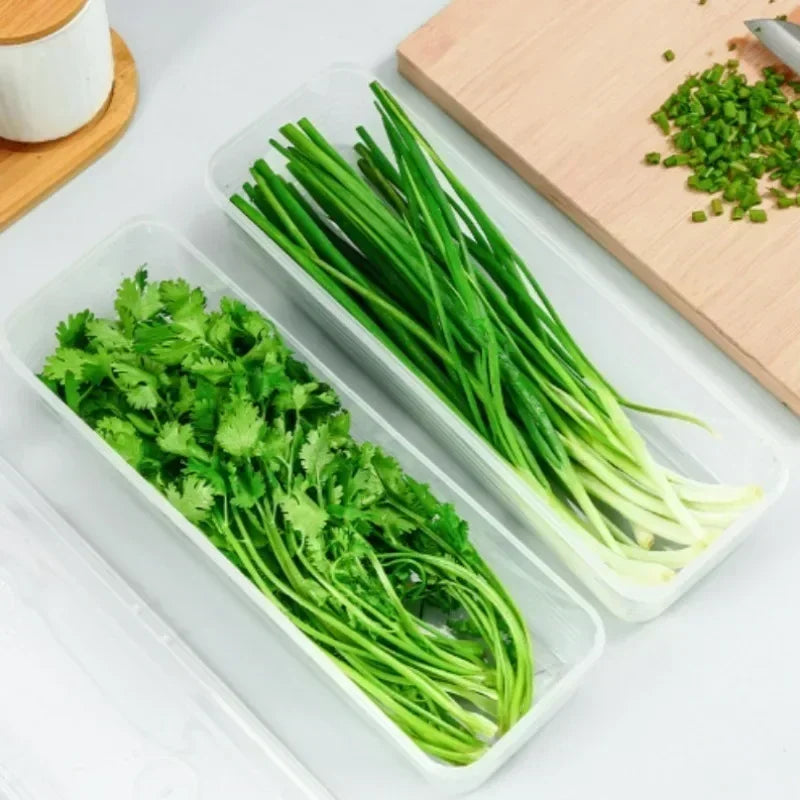 Rectangular refrigerator fresh-keeping box with lid for scallions, coriander, vegetables, sealed cold storage kitchen organizer 9