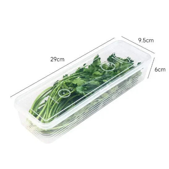 Rectangular refrigerator fresh-keeping box with lid for scallions, coriander, vegetables, sealed cold storage kitchen organizer dimensions 